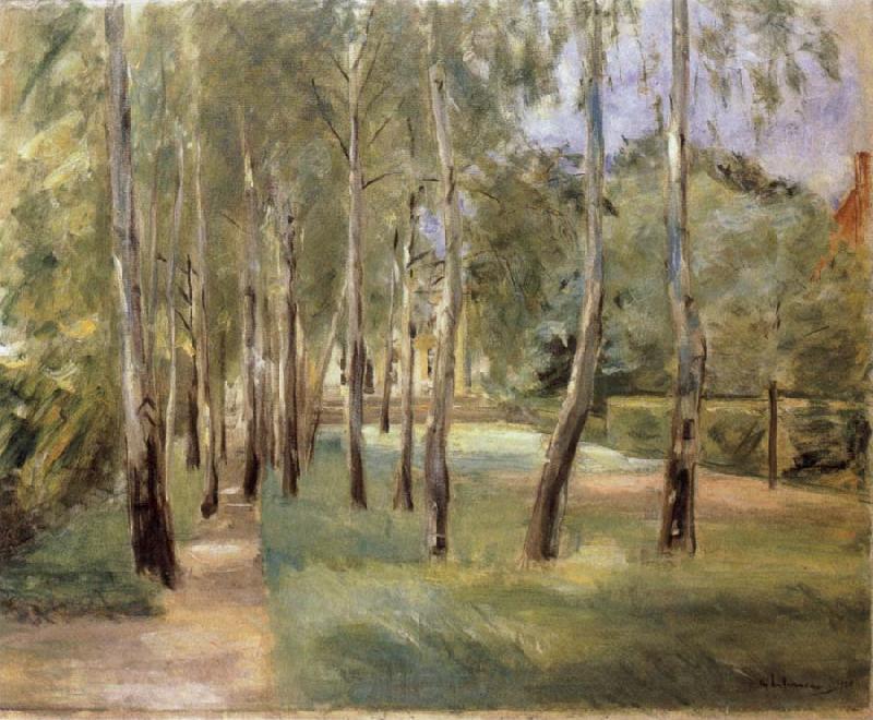 Max Liebermann The Birch-Lined Avenue in the Wannsee Garden Facing West Norge oil painting art